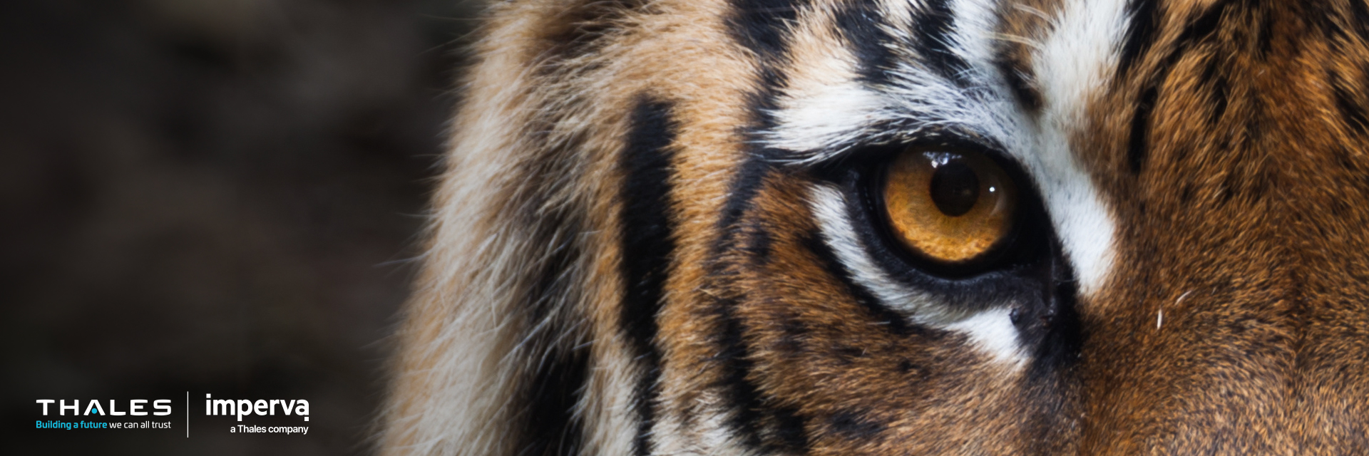 Komtera Technology | Cyber Security Solutions_17